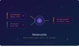 Retatrutide: The Triple Agonist Peptide Reshaping Obesity Research in 2026
