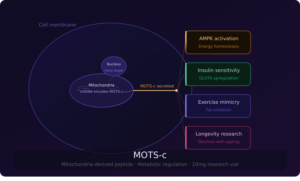 MOTS-c Peptide: Mitochondrial-Derived Science and Metabolic Research