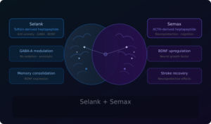Selank and Semax: A Researcher’s Overview of Nootropic Peptides from Russia